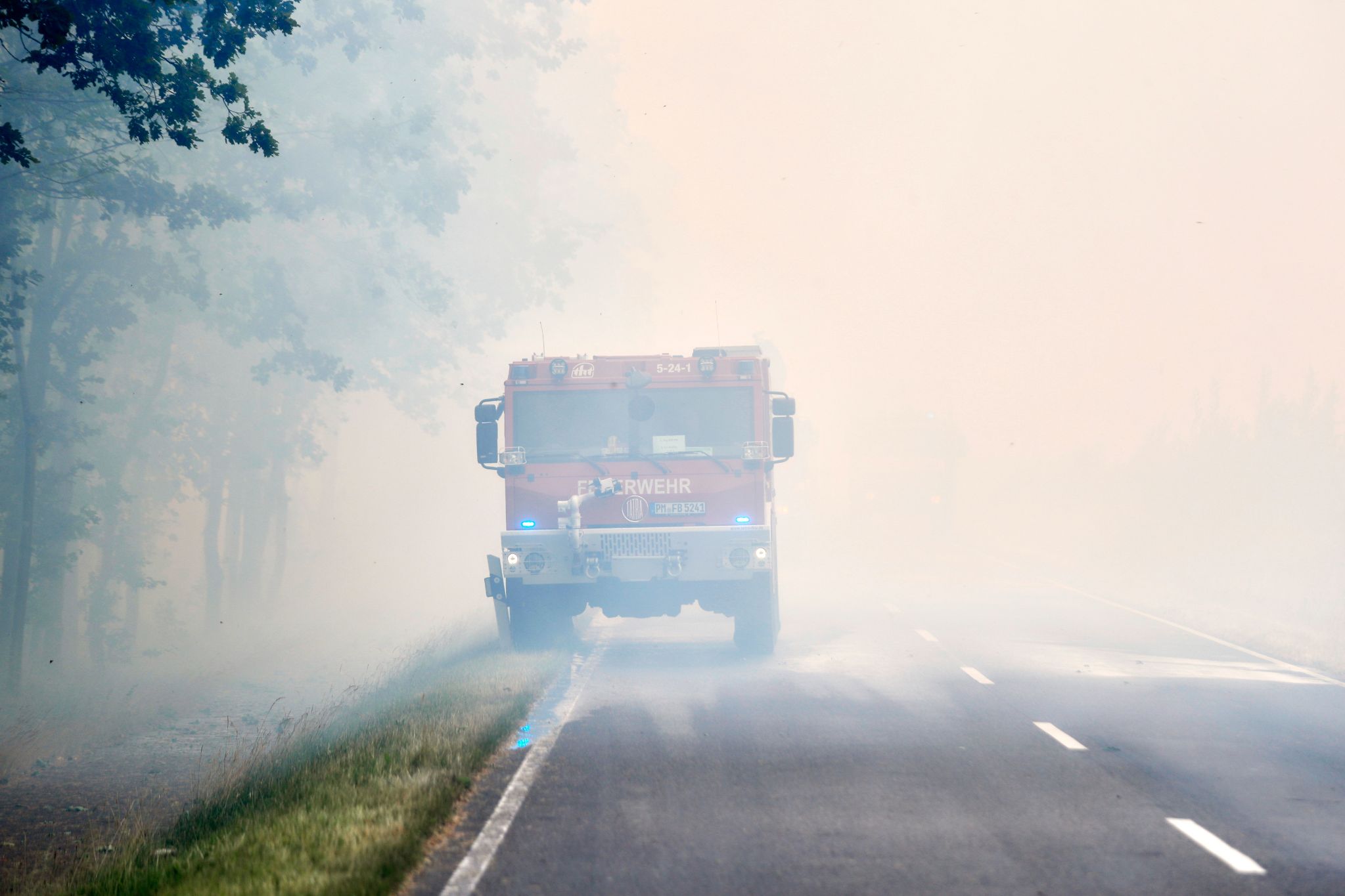 20220619_AdoraPress_TreuenbrietzenWaldbrand1906_012